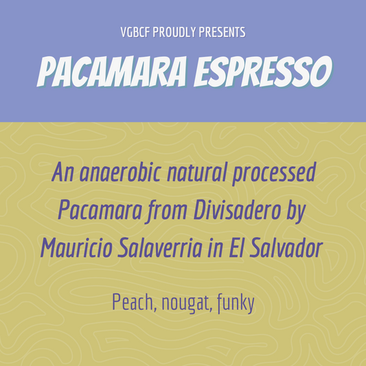 El Salvador Espresso Mauricio Salaverria Pacamara Anaerobic Natural